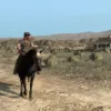 Red Dead Redemption - Ps4 - Usato - immagine 2