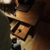 Friday the 13th: The Game - Ultimate Slasher Edition - Switch - immagine 3