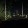 Friday the 13th: The Game - Ultimate Slasher Edition - Switch - immagine 5